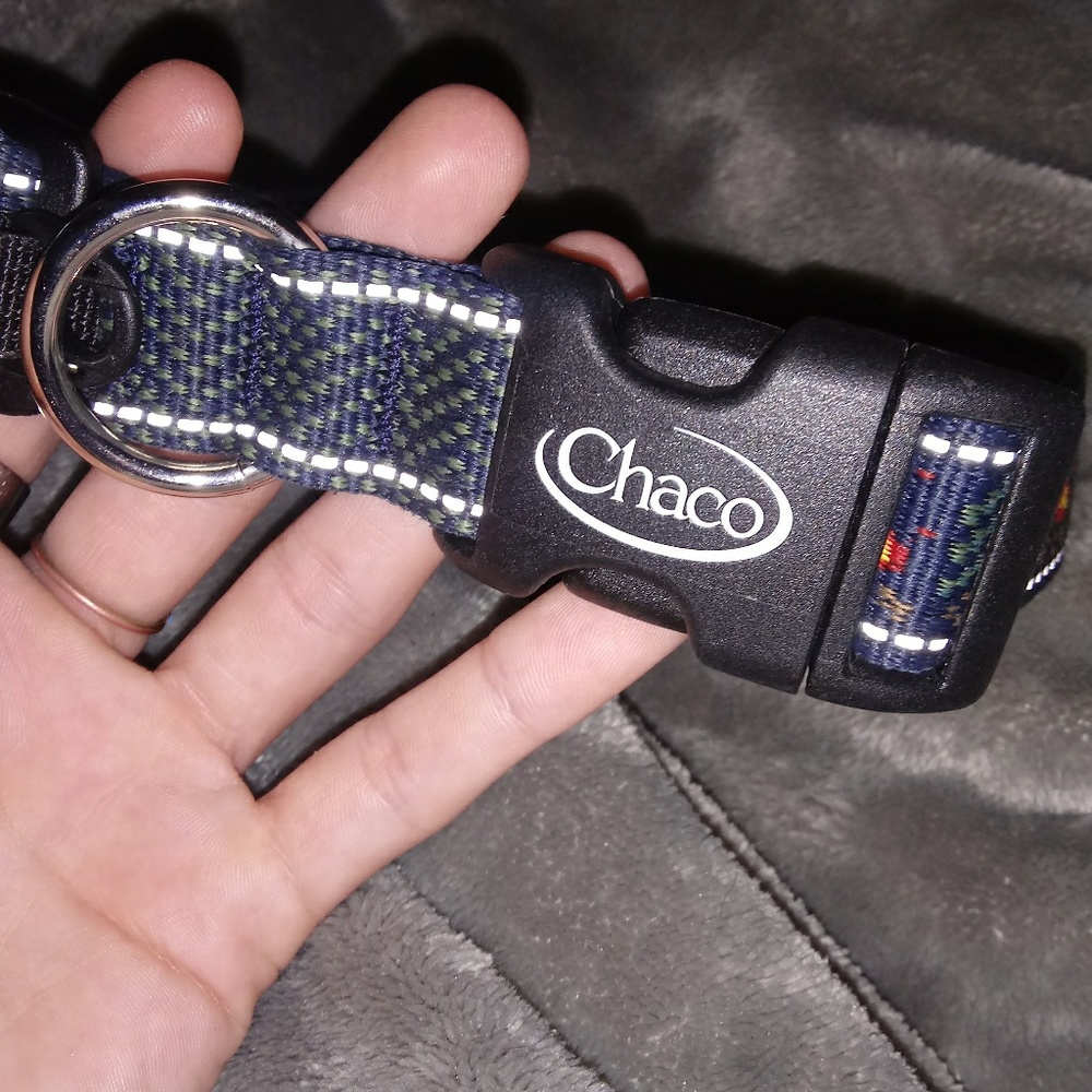 Chaco Dog Collar
